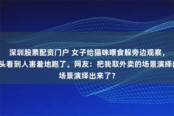 深圳股票配资门户 女子给猫咪喂食躲旁边观察，猫刚露头看到人害羞地跑了。网友：把我取外卖的场景演绎出来了？